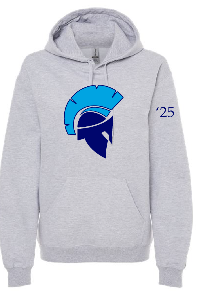 Sport Gray Softstyle Hoodie