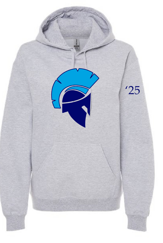 Sport Gray Softstyle Hoodie