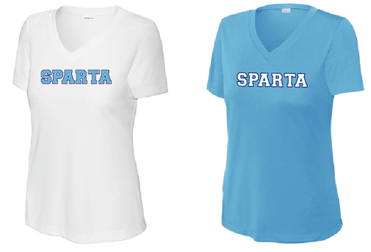 Ladies Performance V-neck